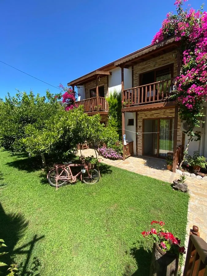 Homestay Faralya Misafir Evi Apartment