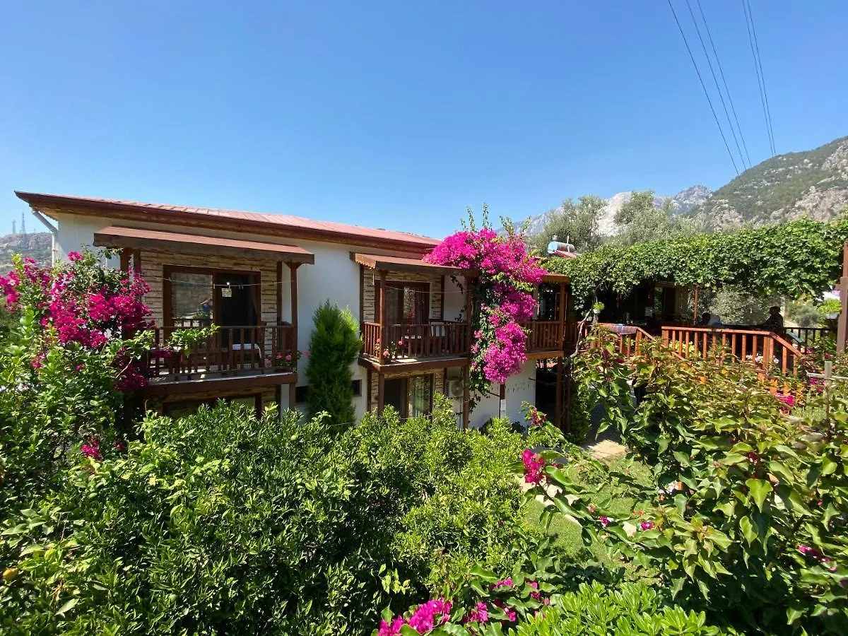Faralya Misafir Evi Apartment