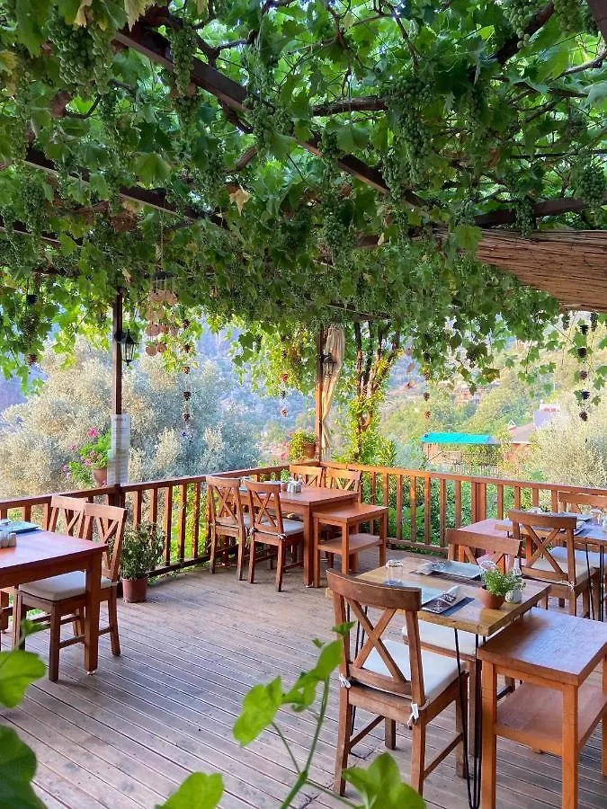 Homestay Faralya Misafir Evi Apartment