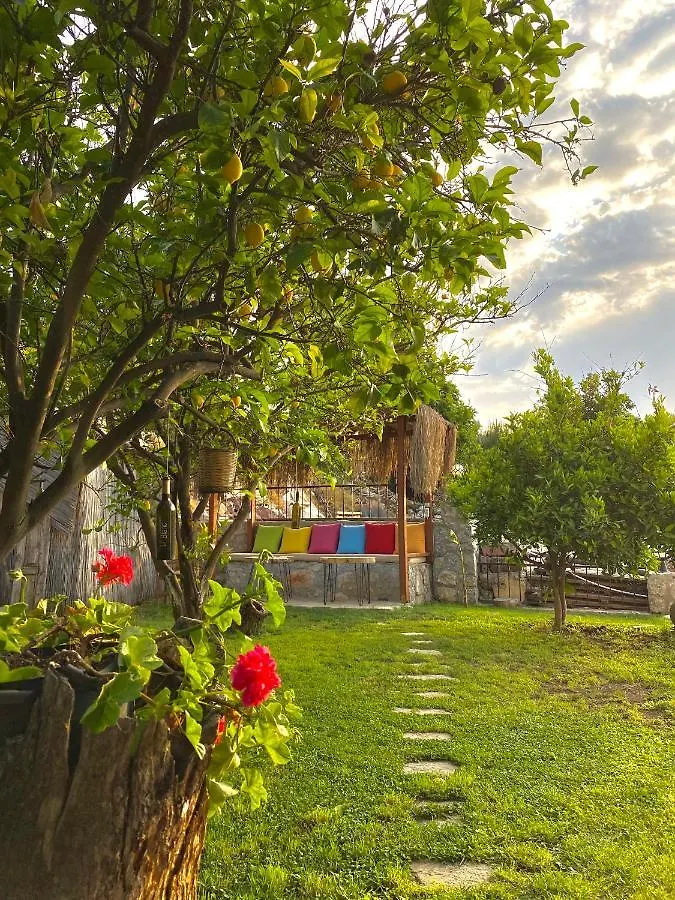Faralya Misafir Evi Apartment 0*,  Turkey