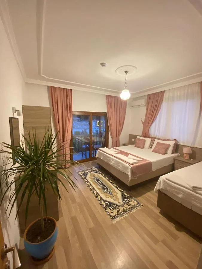 Homestay Faralya Misafir Evi Apartment Turkey